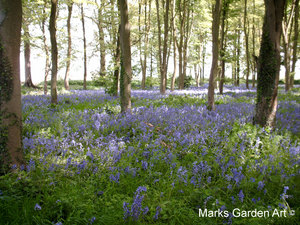 Oxford-Spring_11.JPG