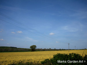 Oxford-Spring_12.JPG