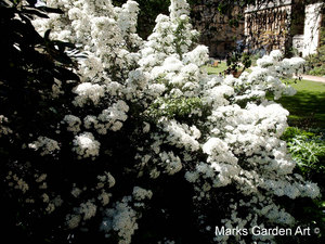 Oxford-Spring_13.JPG