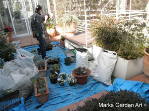 CIS-201203_01.JPG