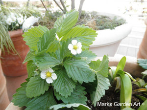 CIS-201203_04.JPG