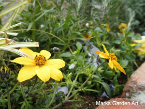 Making-planter2012March_04.JPG