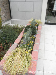 Making-planter2012March_06.JPG
