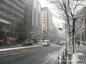 SnowedinTokyo2012-02.JPG