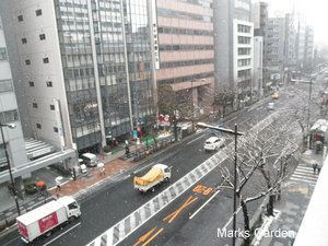 SnowedinTokyo2012-03.JPG