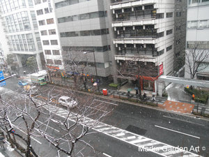 SnowedinTokyo2012-04.JPG