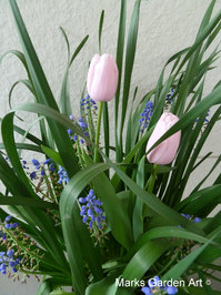 Bulbs-in-pot2012-04-22_01.JPG