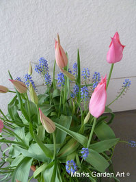 Bulbs-in-pot2012-04-22_03.JPG