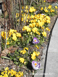 MarksGarden_201203_01.JPG
