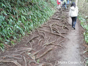 Mt.Takao2012_02.JPG