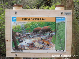 Mt.Takao2012_03.JPG