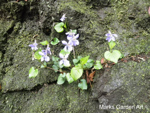 Mt.Takao2012_04.JPG