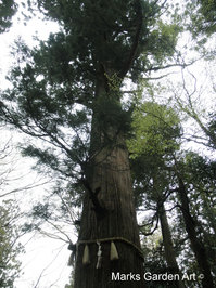 Mt.Takao2012_08.JPG