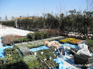 Niiza_201203_02.JPG