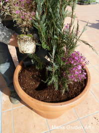 Niiza_201203_04.JPG