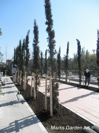 Niiza_201203_05.JPG