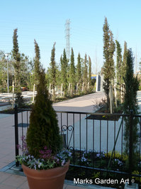 Niiza_201203_06.JPG