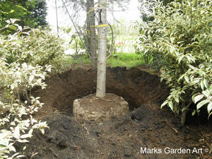 Seibu-dome_tree_01.JPG