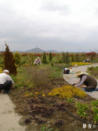 Biwako_2012-04_01.jpg