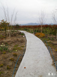 Biwako_2012-04_04.jpg
