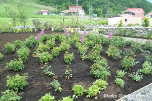 Rosa-Versailles_Hakuba201206_01.JPG