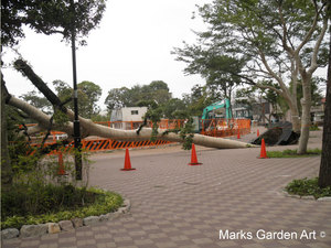 Typhoon-No.4_2012_01.jpg