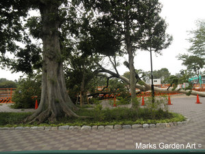 Typhoon-No.4_2012_02.jpg