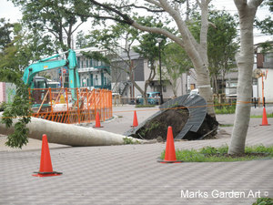 Typhoon-No.4_2012_04.jpg