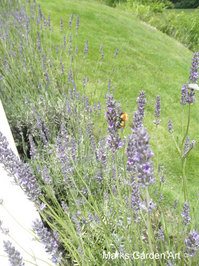 Hakuba_201207_32.JPG