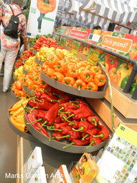 Holland-Floriade2012_14.jpg