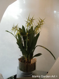 Holland-Floriade2012_16.jpg