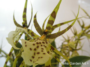 Holland-Floriade2012_17.jpg