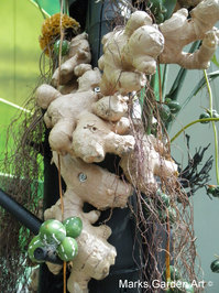 Holland-Floriade2012_18.jpg