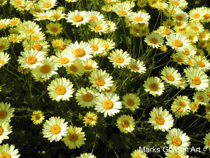 Holland-Floriade2012_26.jpg