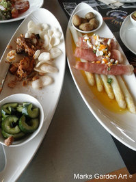 Holland2012_03.jpg