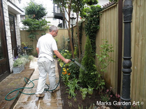 Mitaka_2012-05.jpg