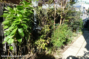 Mitaka_C_2011-03.JPG