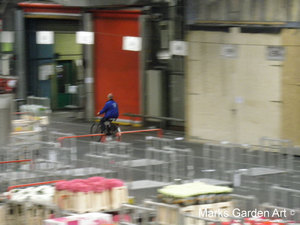 AalsmeerFlowerMarket2012_02.jpg