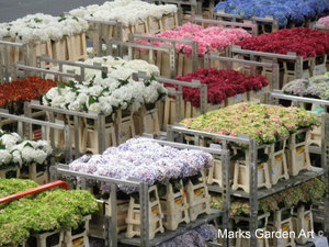 AalsmeerFlowerMarket2012_03.jpg