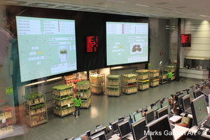 AalsmeerFlowerMarket2012_05.JPG