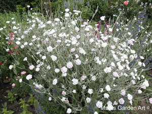 BarringtonCourt2012_03.jpg