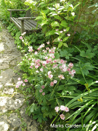 EastLambrookManor2012_07.jpg