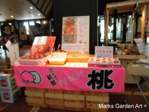 Hakuba_201208_24.jpg
