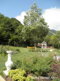 Hakuba_201209_13.JPG