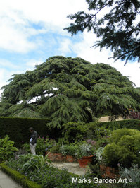 Hidcote2012_02.jpg