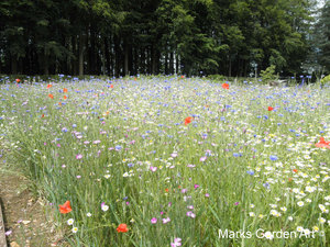 Hidcote2012_07.jpg