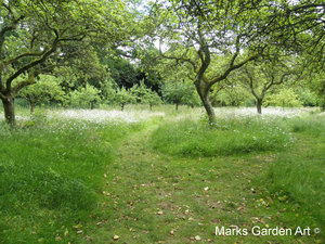 Hidcote2012_14.jpg
