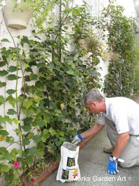 Maintenance2012_02.jpg