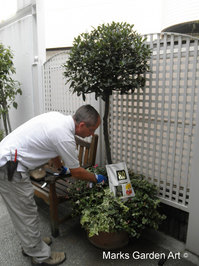 Maintenance2012_03.jpg