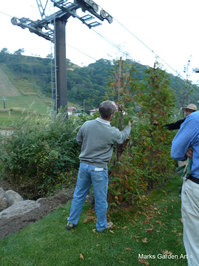 Hakuba_201210_20.JPG